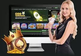 vip33
